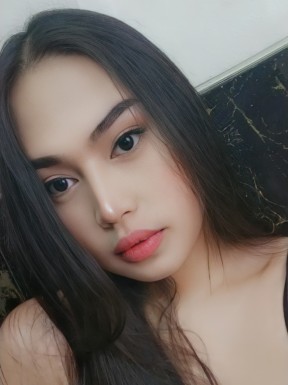 Thai ladyboys for dating / Ladyboys from Philippines for dating