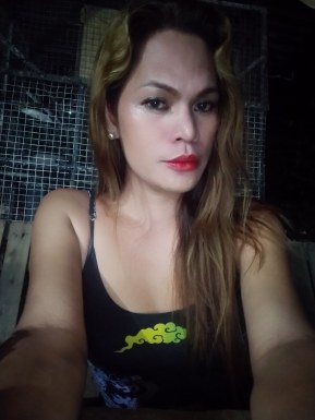 Thai ladyboys for dating / Ladyboys from Philippines for dating