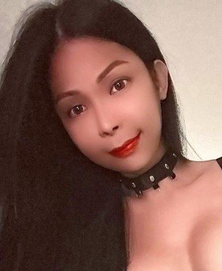 Thai ladyboys for dating / Ladyboys from Philippines for dating