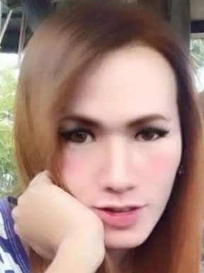 Thai ladyboys for dating / Ladyboys from Philippines for dating